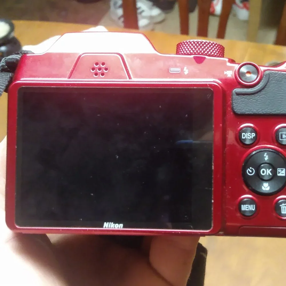 Nikon pretty much